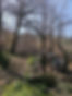 Gingerbread_edited_edited.jpg